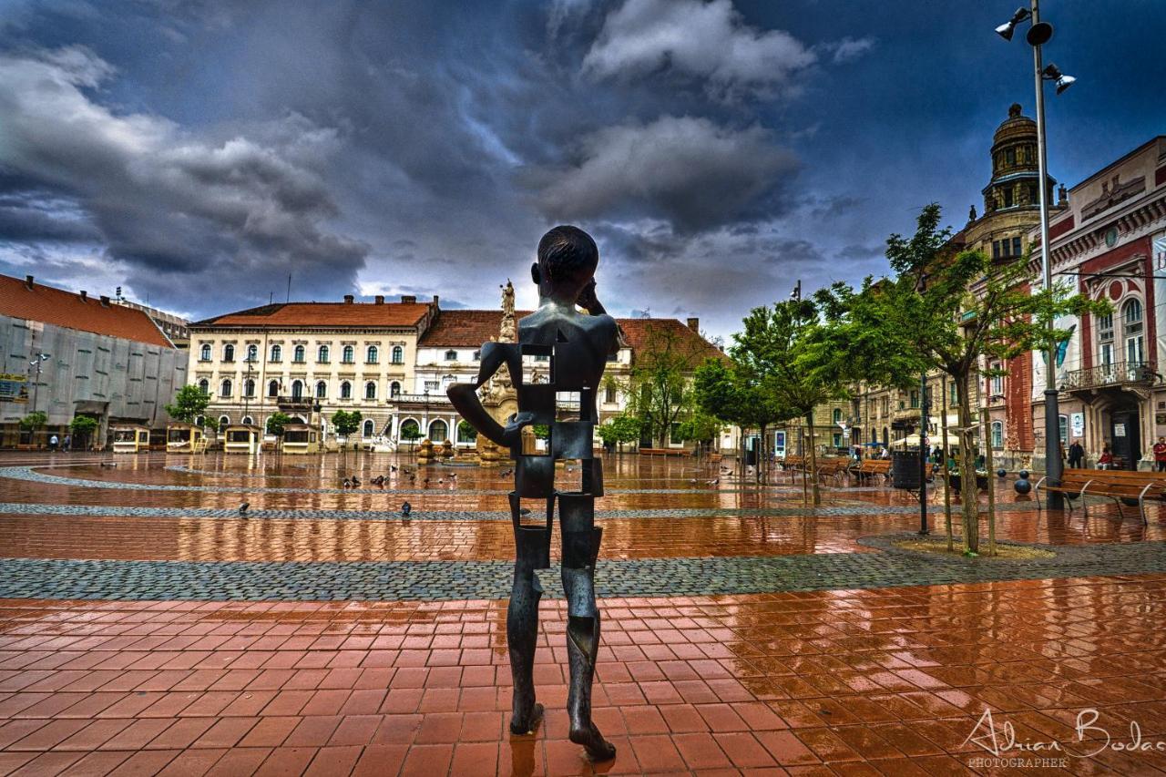 Take Pro Timisoara Apartment Esterno foto