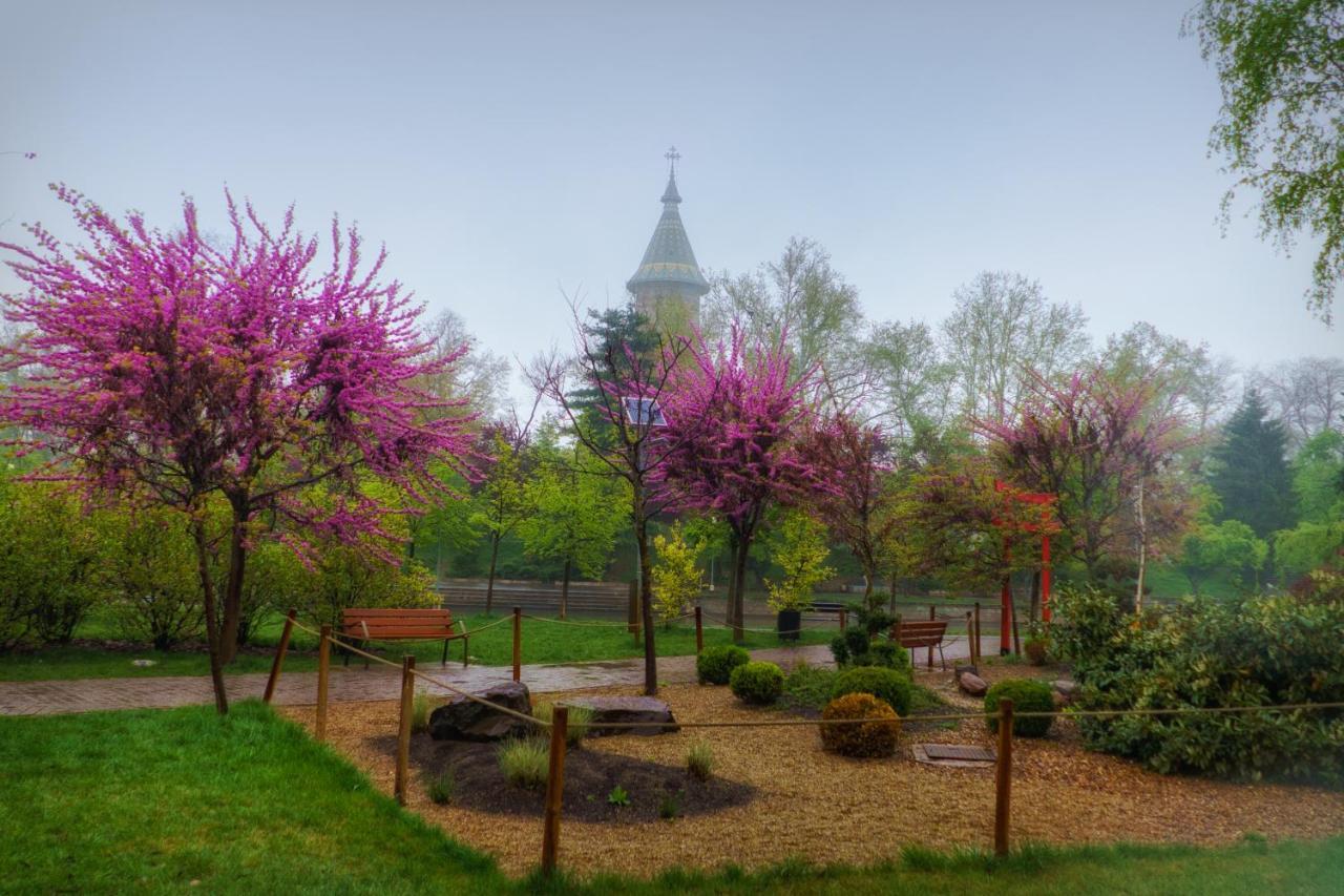 Take Pro Timisoara Apartment Esterno foto